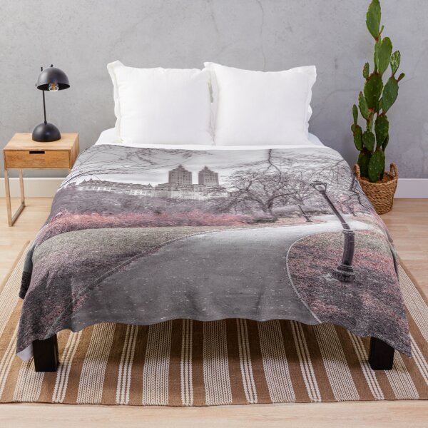 Item preview, Central Park designed and sold by assaf.