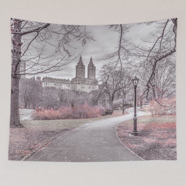 Item preview, Central Park designed and sold by assaf.