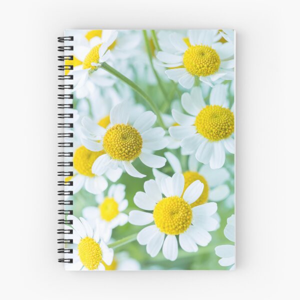 Item preview, White Daisies designed and sold by assaf.