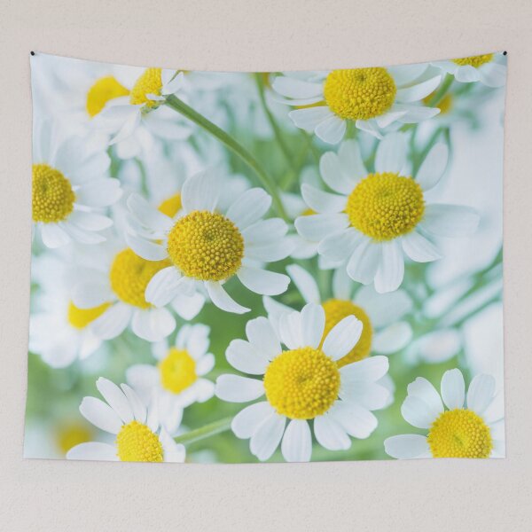 Item preview, White Daisies designed and sold by assaf.