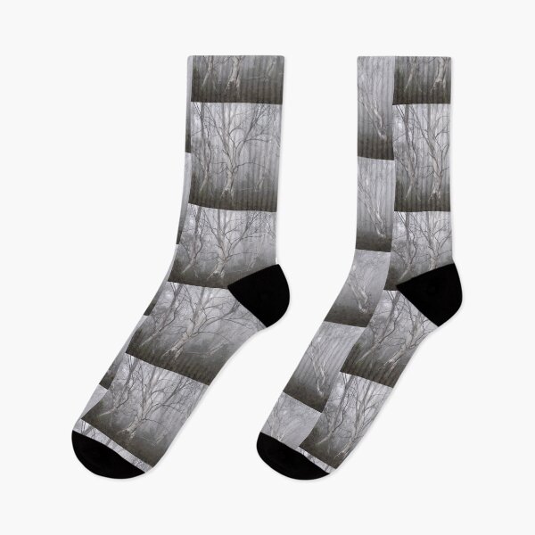 Item preview, Trees In The Mist designed and sold by Geoff Wols.