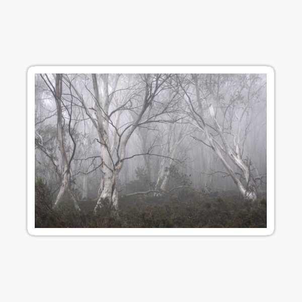 Item preview, Trees In The Mist designed and sold by Geoff Wols.