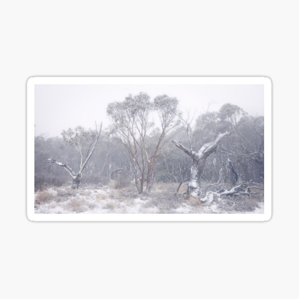 Item preview, Trees In Snow designed and sold by Geoff Wols.