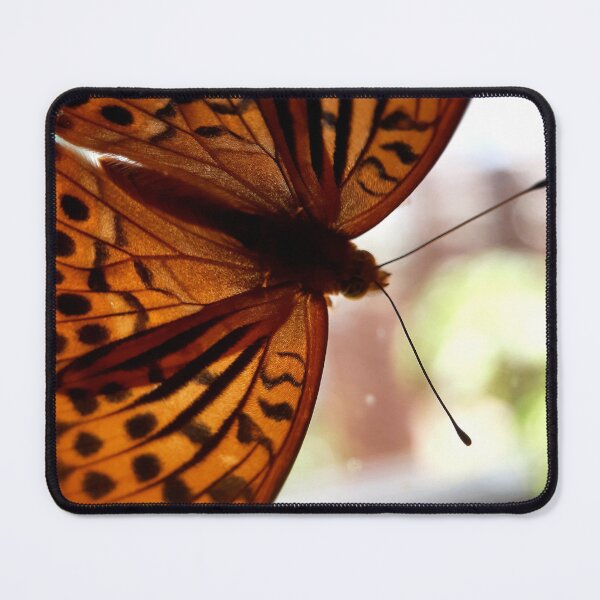 Item preview, Spotted Butterfly designed and sold by carotulu.