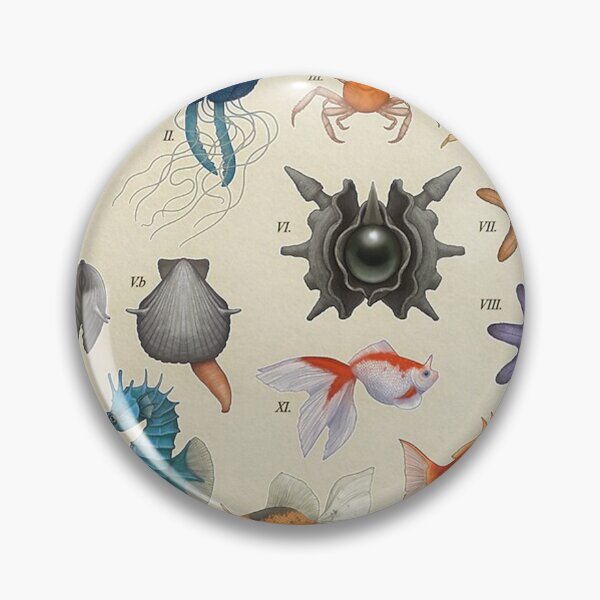 Item preview, Marine Life from Kanto Poster designed and sold by tiara-Sathori.