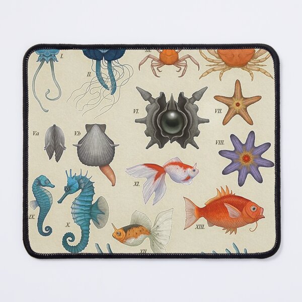 Item preview, Marine Life from Kanto Poster designed and sold by tiara-Sathori.