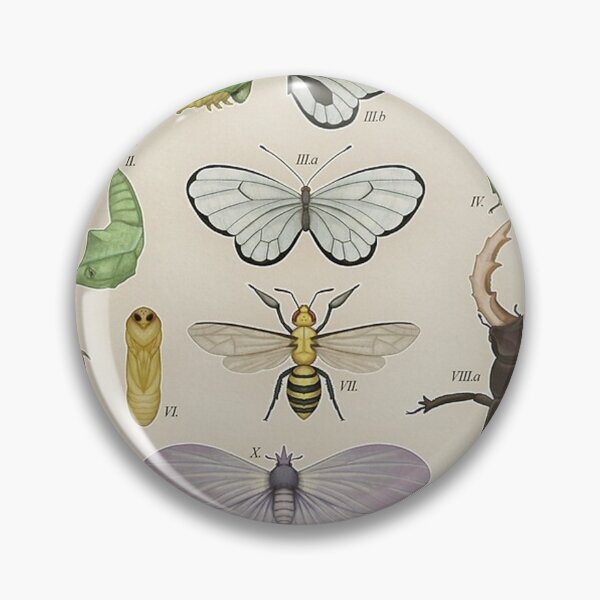 Item preview, Insects from the Kanto Region Poster designed and sold by tiara-Sathori.