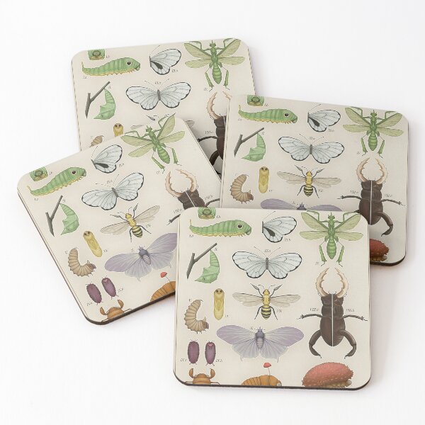 Item preview, Insects from the Kanto Region Poster designed and sold by tiara-Sathori.