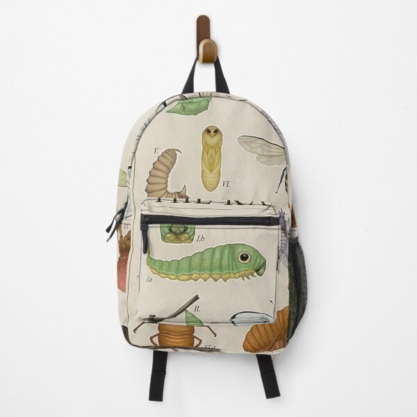 Item preview, Insects from the Kanto Region Poster designed and sold by tiara-Sathori.