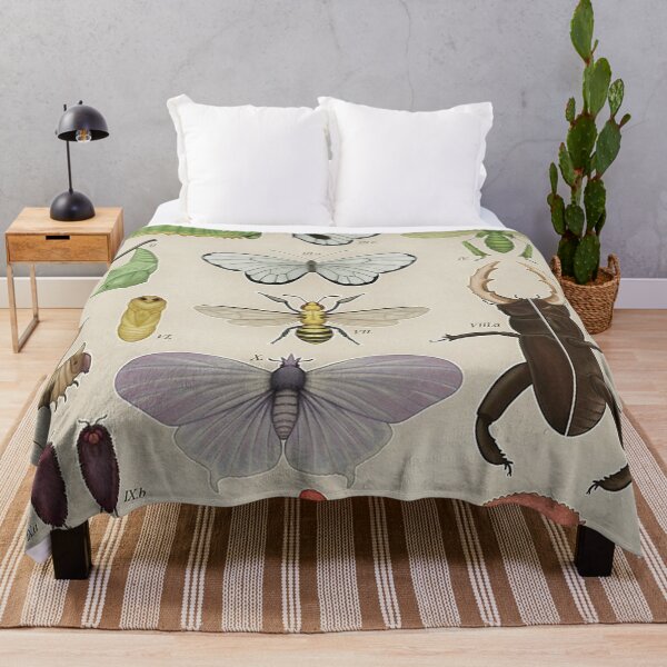 Item preview, Insects from the Kanto Region Poster designed and sold by tiara-Sathori.