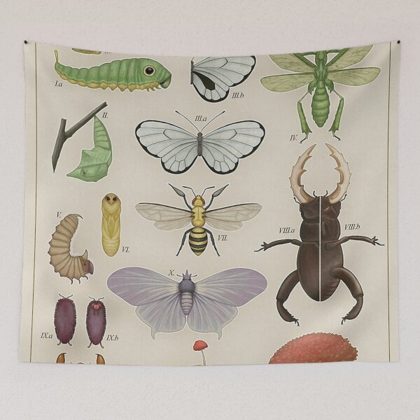 Item preview, Insects from the Kanto Region Poster designed and sold by tiara-Sathori.