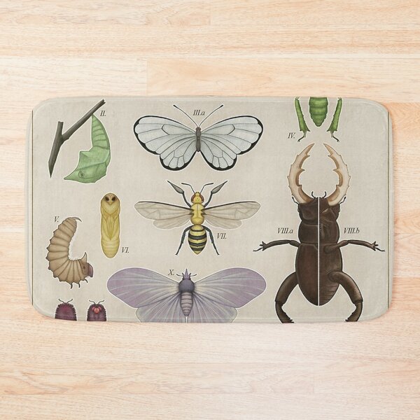 Item preview, Insects from the Kanto Region Poster designed and sold by tiara-Sathori.