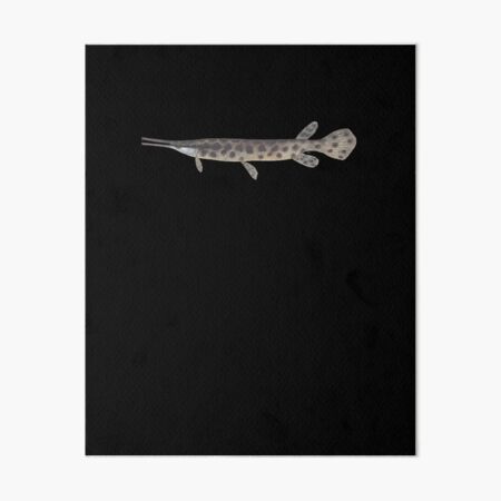 Garfish on Cedar Board original Acrylic Painting Fish Wall Art, Spotted Gar  Fish, Nature Art, Fish on Wood, Fish Illustration 