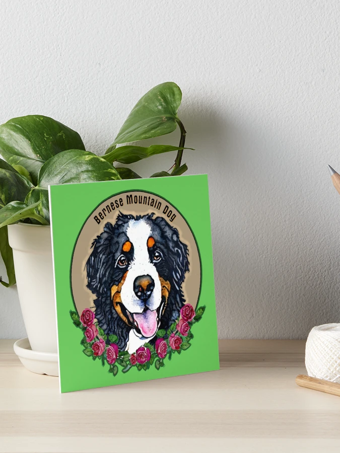 Bernese, berner, bernese mountain dog, beach, beach club, cottage, shops beach house, CANVAS, wall art, custom art, gift