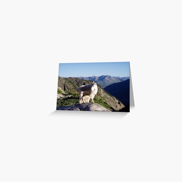 San Juans Mountain Goats Greeting Card