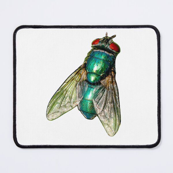 Item preview, Greenbottle Fly designed and sold by Dalyndigital Photography.