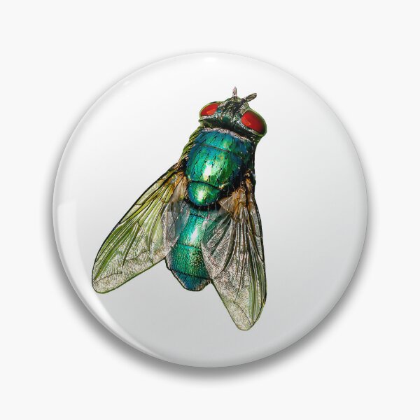 Item preview, Greenbottle Fly designed and sold by Dalyndigital Photography.