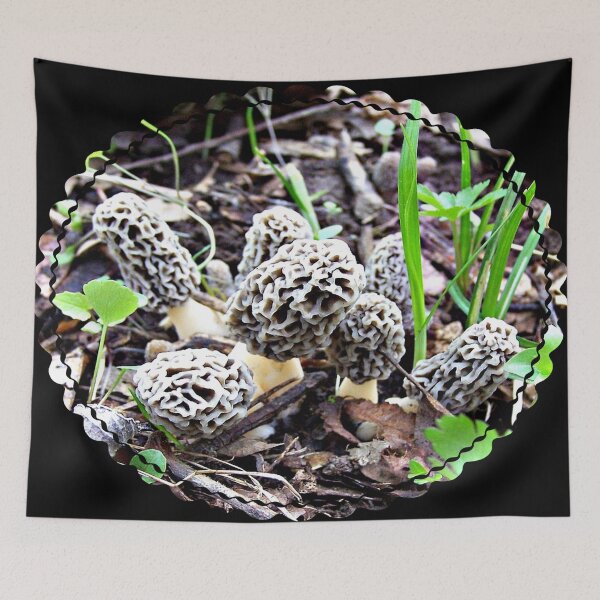 Item preview, Beautiful Baby Grey Morel Mushrooms designed and sold by natnat7w.