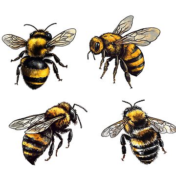 Artwork thumbnail, Busy Bumble Bees Sticker Pack by edward-corke