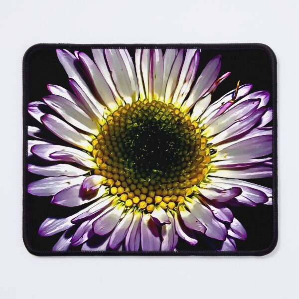 Item preview, Wandering Fleabane designed and sold by olusion.