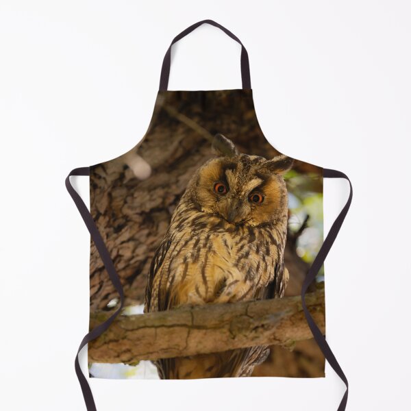 Item preview, Long-eared Owl, Castro Verde, Portugal designed and sold by AndrewJonesFoto.