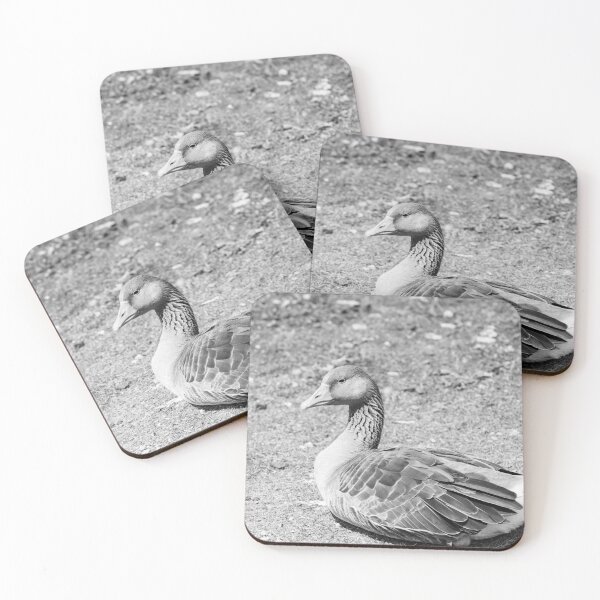 Item preview, Graylag Goose Black And White designed and sold by Tanya C  Smith.
