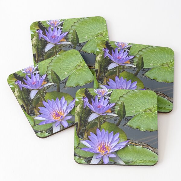 Item preview, Botanical garden pond lilies in the Azores designed and sold by Susan Gallup.