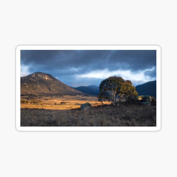 Item preview, The Landscape designed and sold by Geoff Wols.