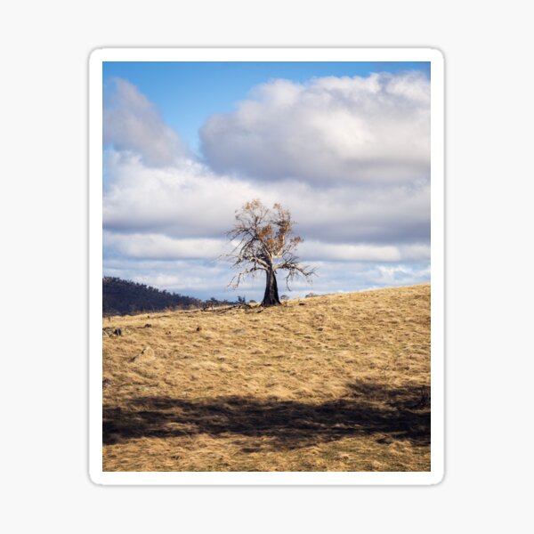 Item preview, Tree On A Hill designed and sold by Geoff Wols.