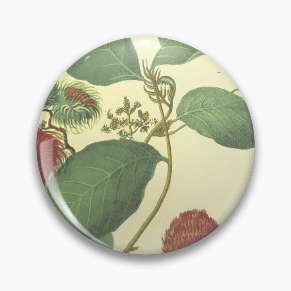 Item preview, Botanica designed and sold by emanch.