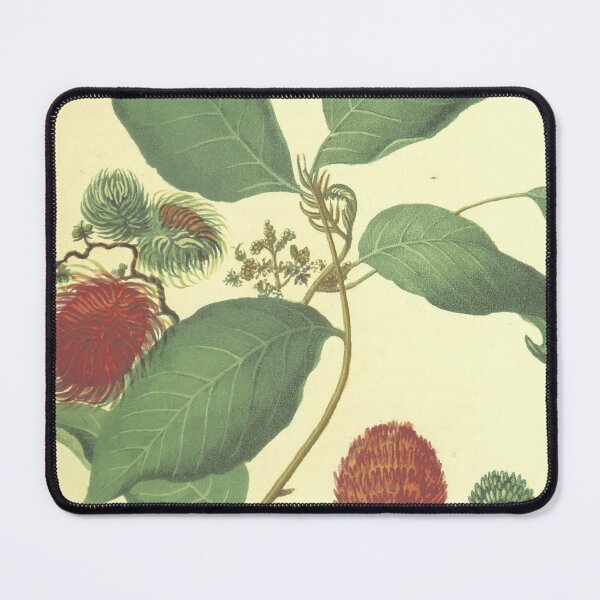 Item preview, Botanica designed and sold by emanch.