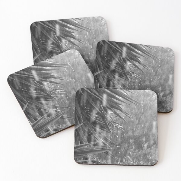 Item preview, Rainstorm, Spring Storm, Yucca Tree designed and sold by Anna Lemos.