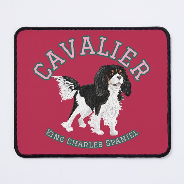 Item preview, Tri Colour Cavalier King Charles Spaniel School designed and sold by barksandsqueaks.