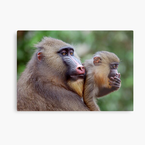 Two of a Kind Metal Print