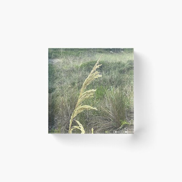Item preview, Florida designed and sold by Abeink1030.