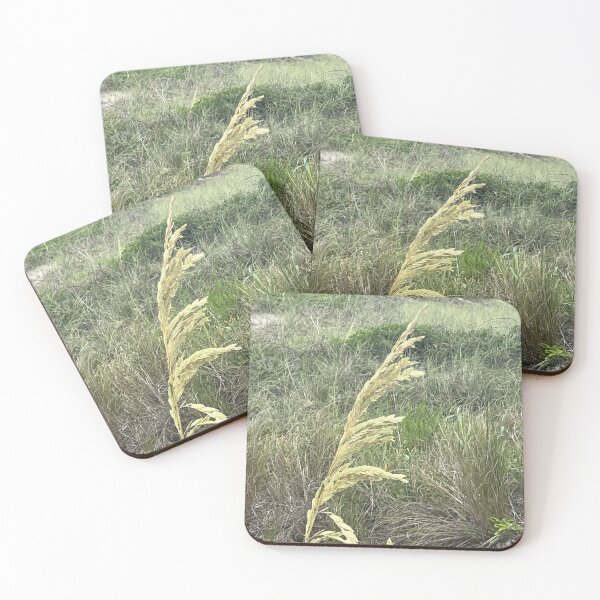 Item preview, Florida designed and sold by Abeink1030.