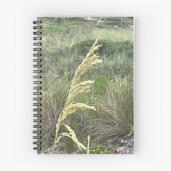Item preview, Florida designed and sold by Abeink1030.