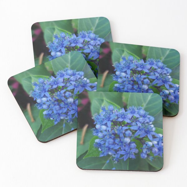 Item preview, Nature flower-e photo designed and sold by nancychong.