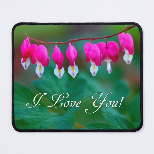Item preview, Bleeding Hearts - I Love You designed and sold by BostonArcImage.