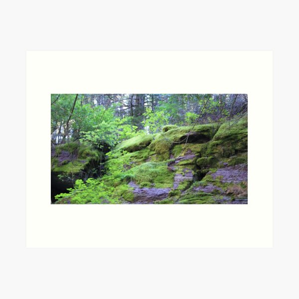 Green wander Art Print