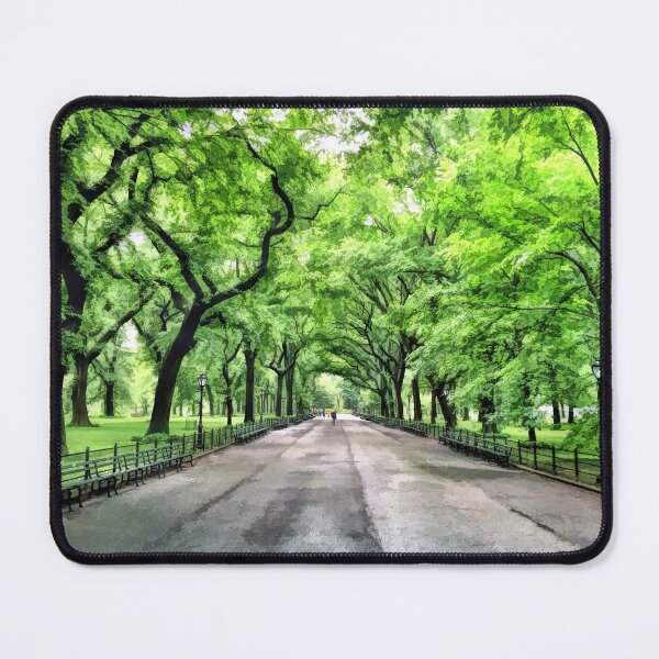 Item preview, New York City Central Park Mall designed and sold by Christopher Arndt.