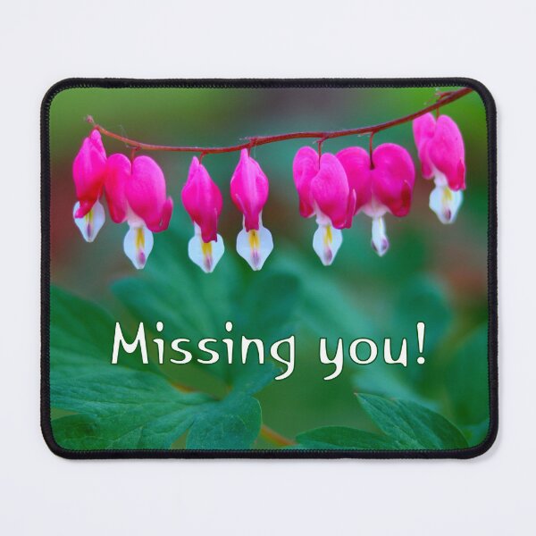 Item preview, Bleeding Hearts - Missing You designed and sold by BostonArcImage.