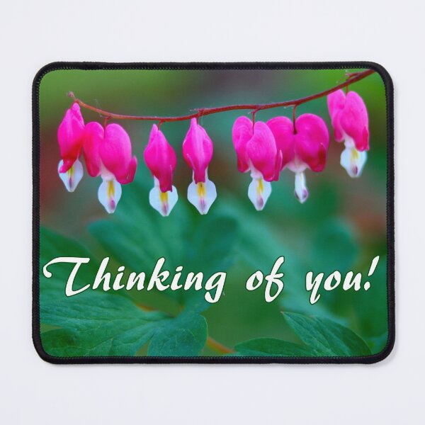 Item preview, Bleeding Hearts - Thinking of You designed and sold by BostonArcImage.