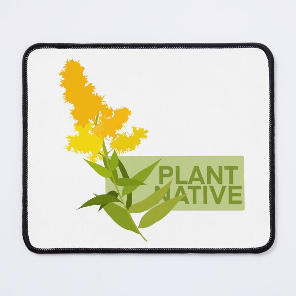 Item preview, Goldenrod Plant Native Botanical Illustration designed and sold by Furkid Studio.