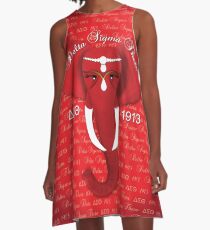Delta Sigma Theta A-Line Dress