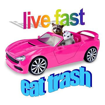 Artwork thumbnail, Life fast, eat trash raccoon possum word art by snazzyseagull