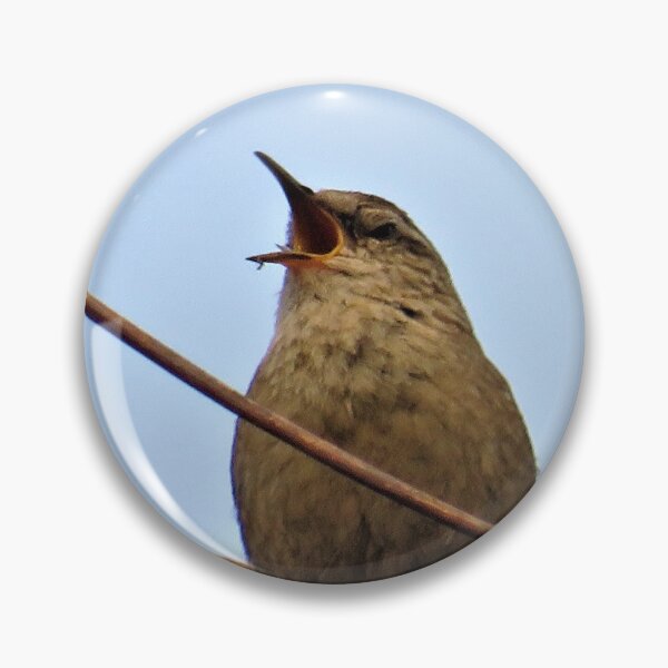 Item preview, Singing Wren with vines designed and sold by Zoe Cox.
