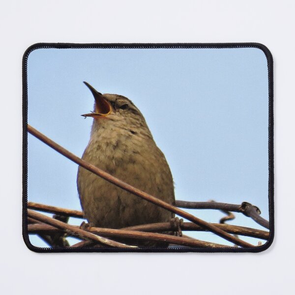 Item preview, Singing Wren with vines designed and sold by Zoe Cox.