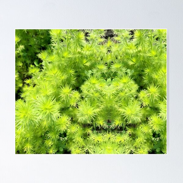 Item preview, Fuzzy Green Sprouts designed and sold by petrasart.