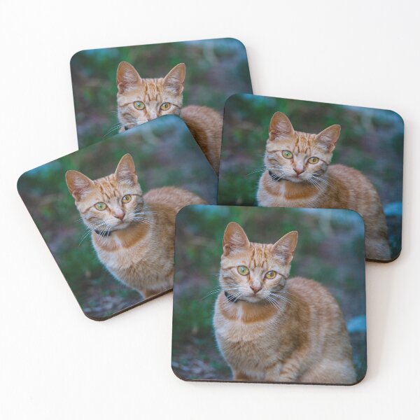 Item preview, Cat III designed and sold by NunoPires.